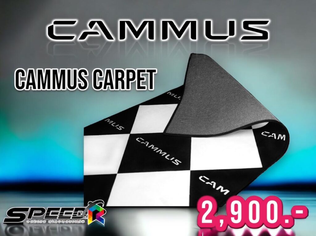 cammus carpet